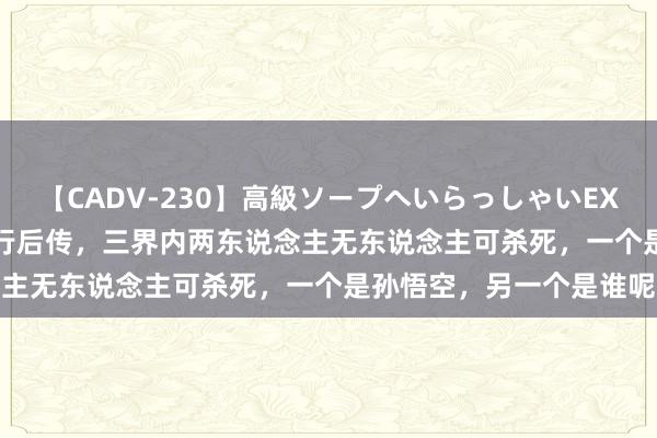 【CADV-230】高級ソープへいらっしゃいEX 巨乳限定4時間 2 西纪行后传，三界内两东说念主无东说念主可杀死，一个是孙悟空，另一个是谁呢