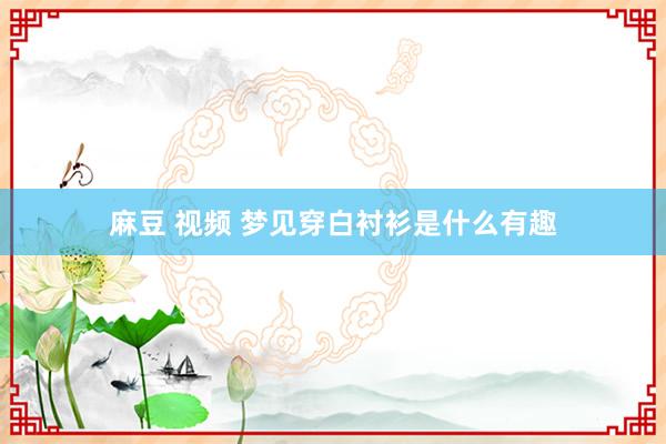 麻豆 视频 梦见穿白衬衫是什么有趣