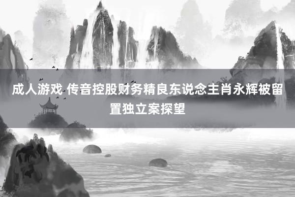 成人游戏 传音控股财务精良东说念主肖永辉被留置独立案探望