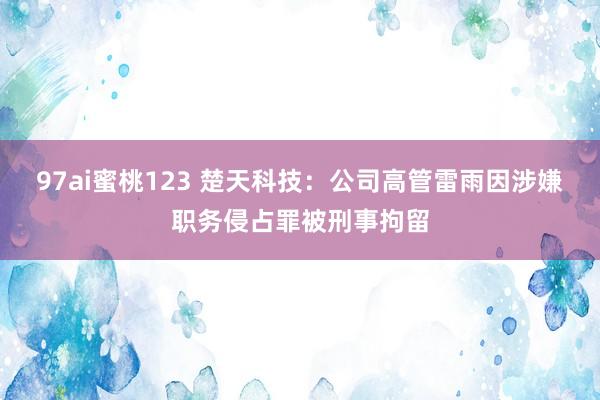 97ai蜜桃123 楚天科技：公司高管雷雨因涉嫌职务侵占罪被刑事拘留