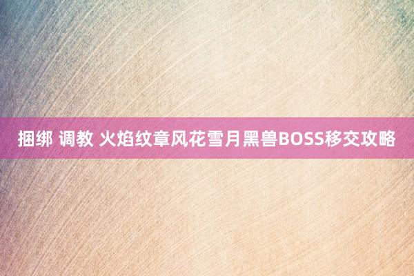 捆绑 调教 火焰纹章风花雪月黑兽BOSS移交攻略